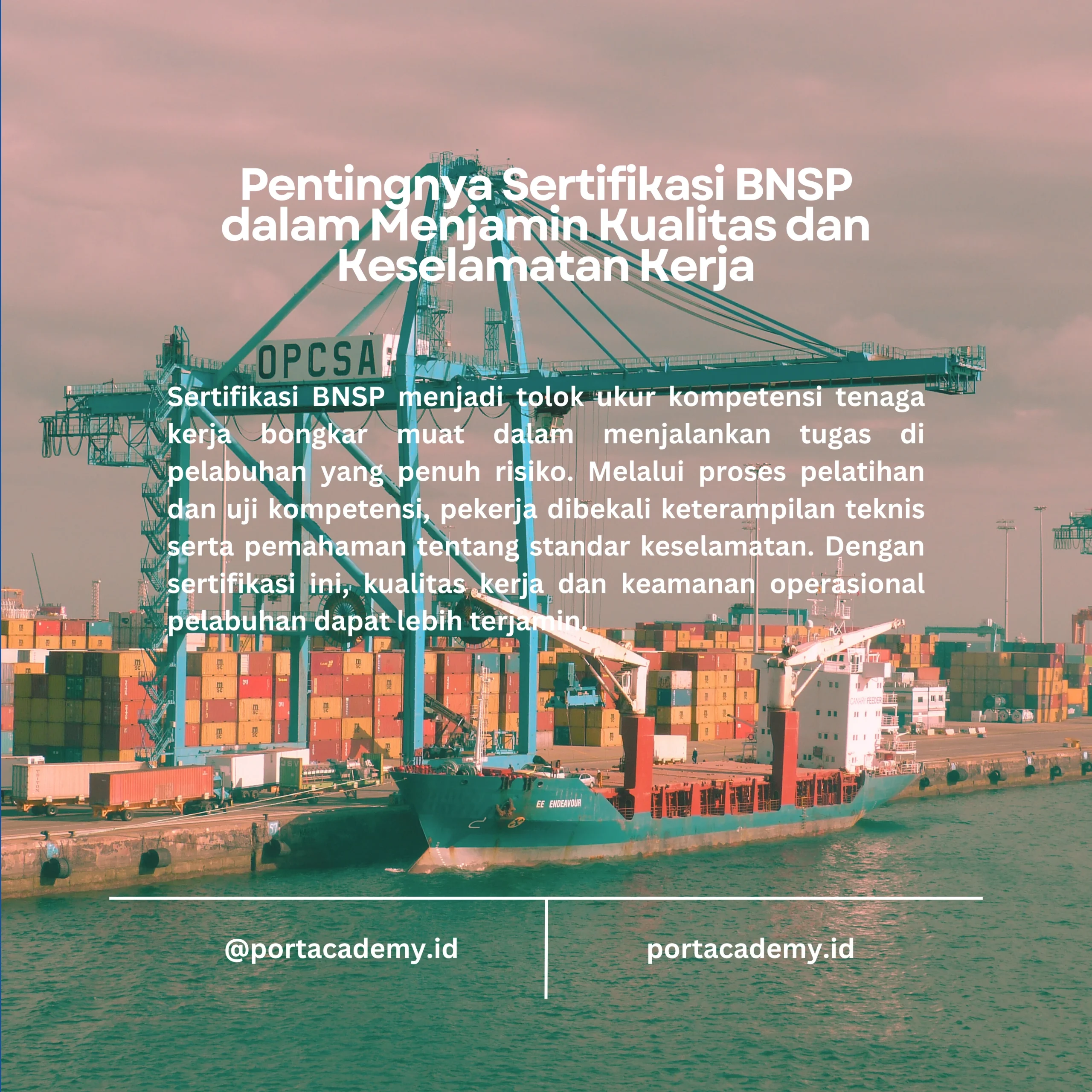 Mengapa Sertifikasi BNSP Jadi Standar Wajib bagi Tenaga Kerja Bongkar Muat di Pelabuhan?