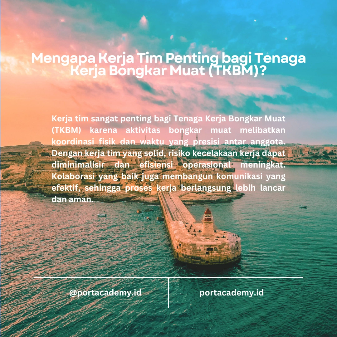 Panduan Kerja dalam Tim bagi TKBM Pemula