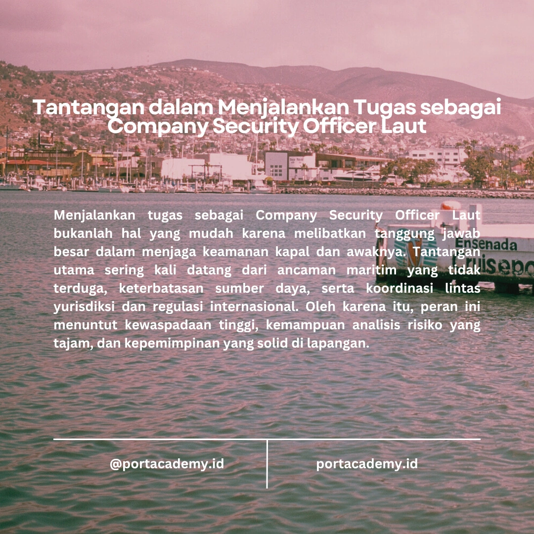 Tugas dan Tanggung Jawab Seorang Company Security Officer